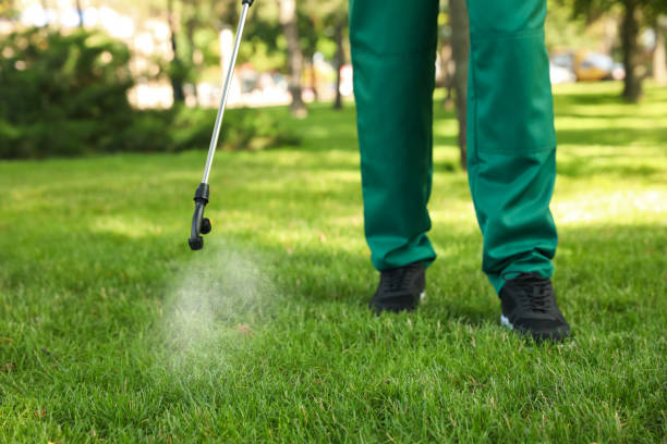 Best Ant Control Services  in Cedar Park, TX