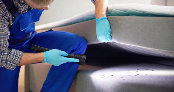 Best Wildlife Control Services  in Cedar Park, TX
