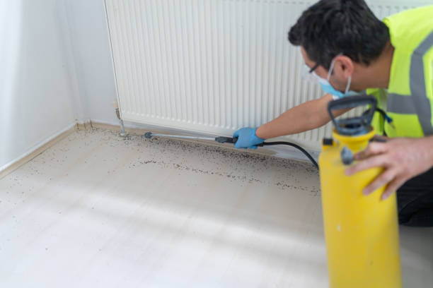 Best Residential Pest Control  in Cedar Park, TX